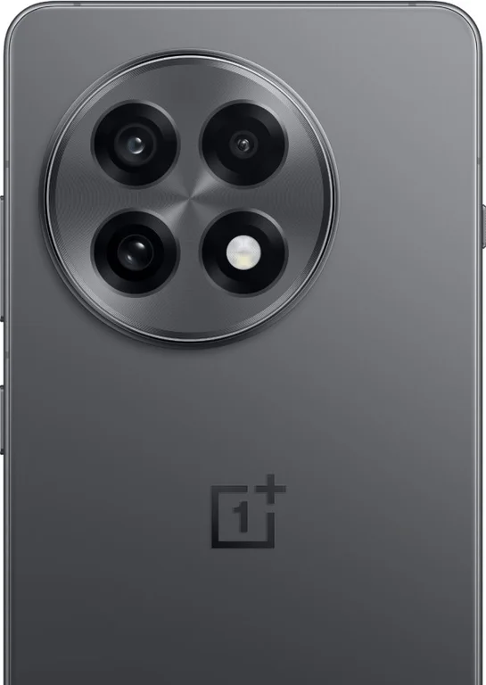 Смартфон OnePlus 13R 12/256Gb Nebula Noir Global