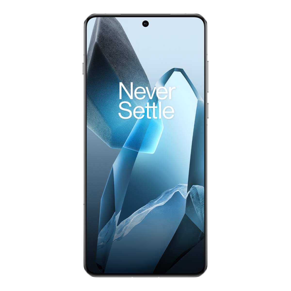 Смартфон OnePlus 13 24/1Tb, синий