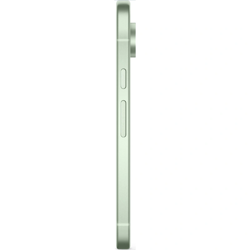 Смартфон Google Pixel 9 12/128Gb Wintergreen