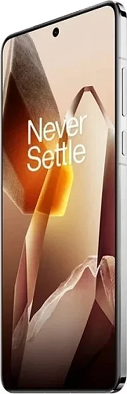 Смартфон OnePlus 13 12/256GB India (Белый, 12 ГБ, 256 ГБ, Индия)